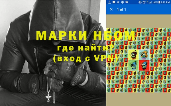 сатива Абинск