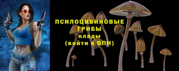 сатива Абинск