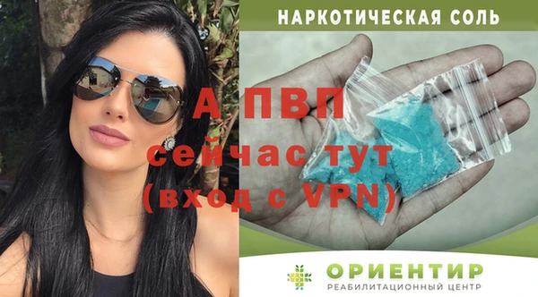 сатива Абинск
