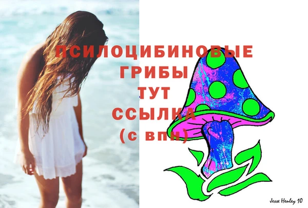 стаф Покров