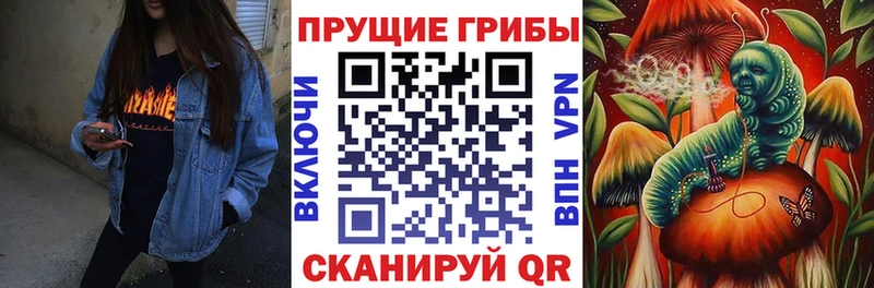 где купить наркоту  Торжок  Галлюциногенные грибы GOLDEN TEACHER 