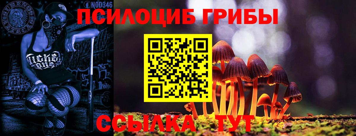 Торжок  Галлюциногенные грибы прущие грибы  Псилоцибиновые грибы мухоморы  наркота  Вход с VPN 